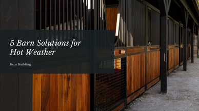 5 Barn Solutions for Hot Weather