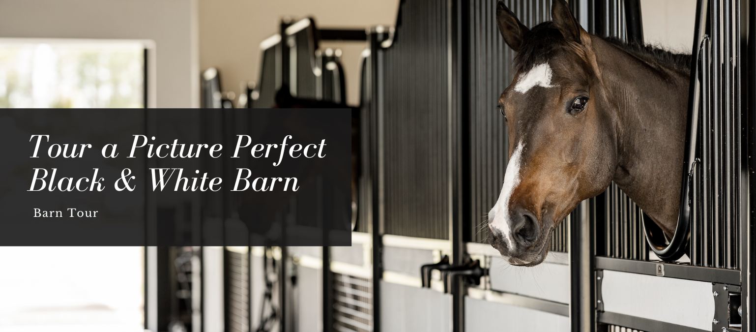Barn Tour – Picture Perfect Black & White Barn in Florida