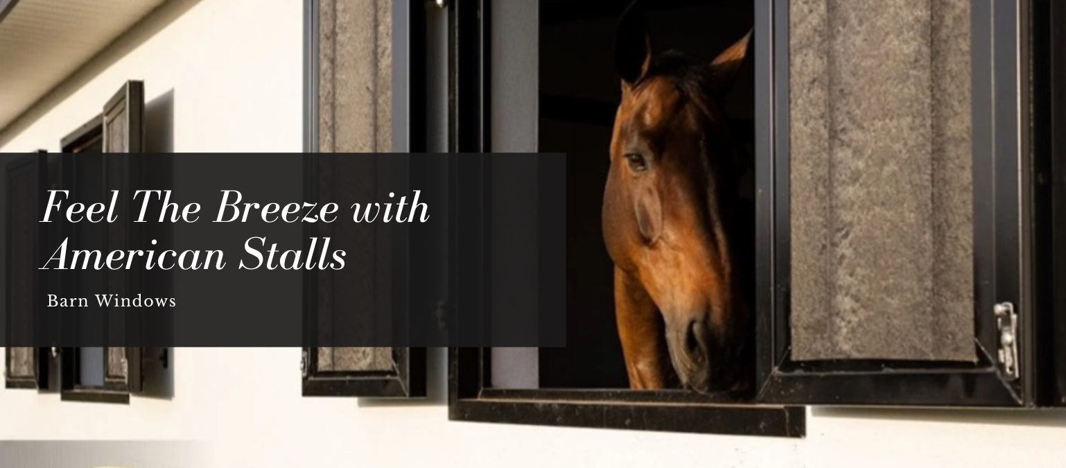 Feel The Breeze with American Stalls