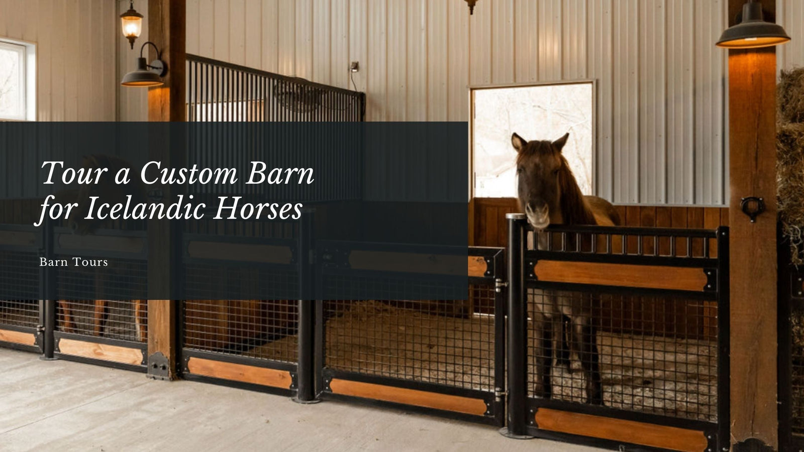 Tour a Custom Barn for Icelandic Horses in Franklin, Tennessee