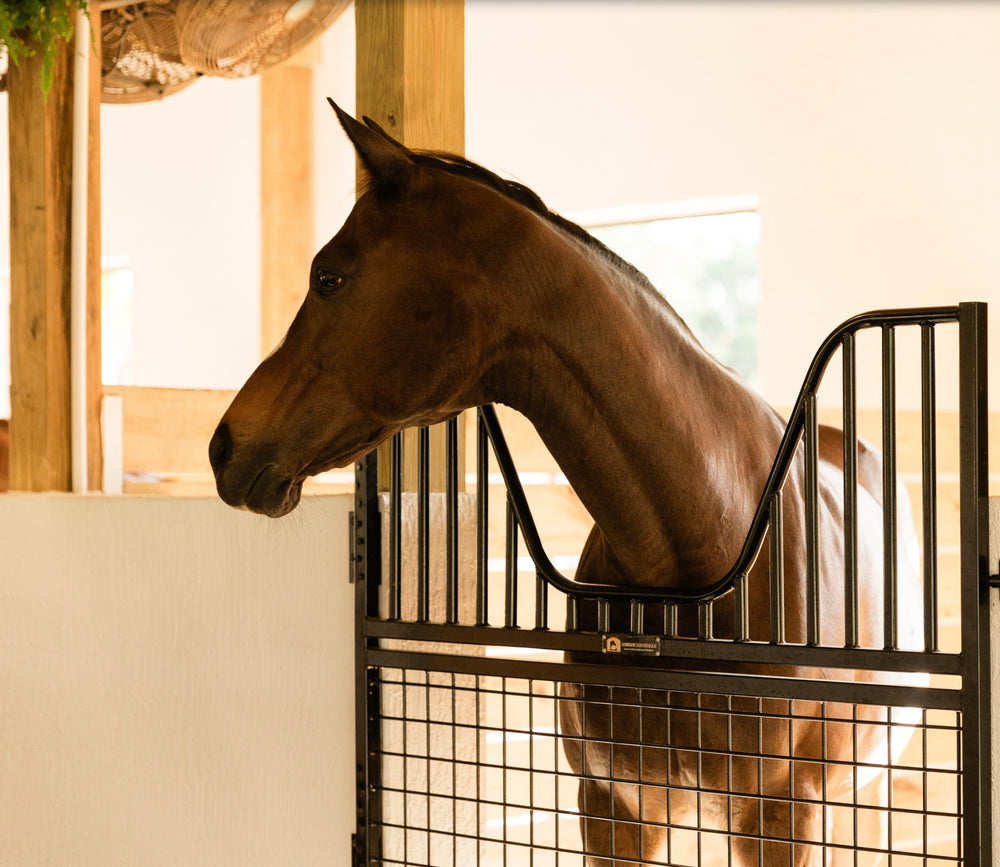 Horse Stall Gates