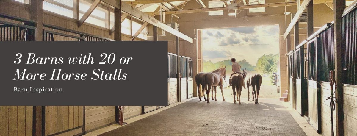 Barn Inspiration: Three Barns with 20 Horse Stalls and More