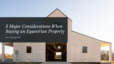 3 Major Considerations When Buying an Equestrian Property