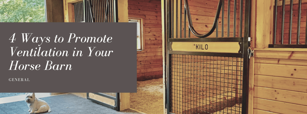 4 Ways to Promote Ventilation in Your Barn