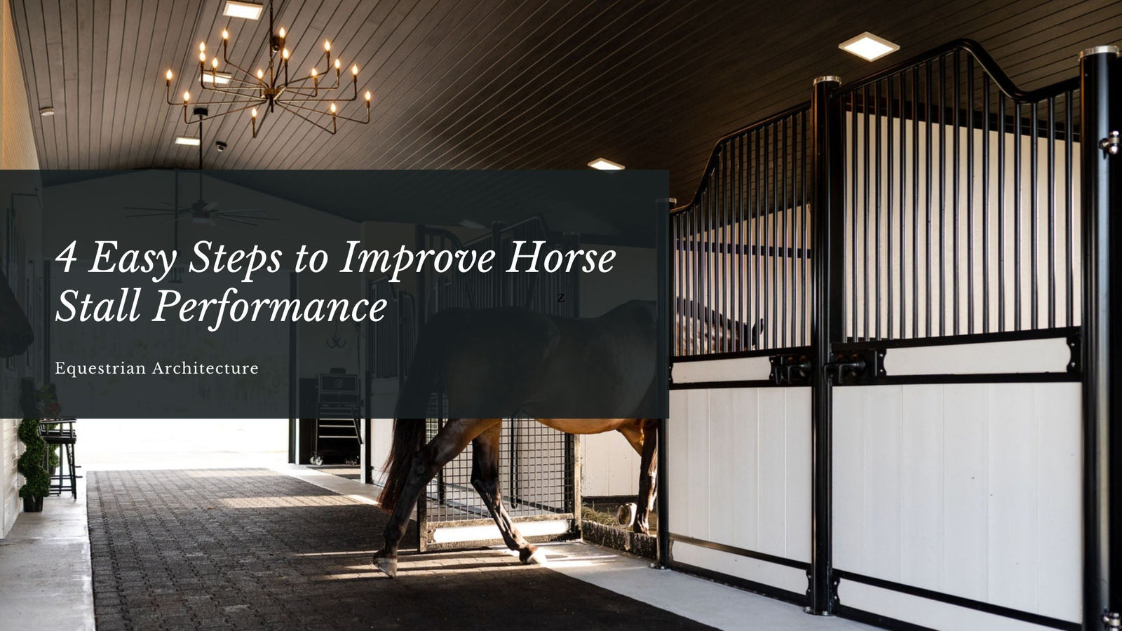 4 Easy Steps to Improve Horse Stall Performance
