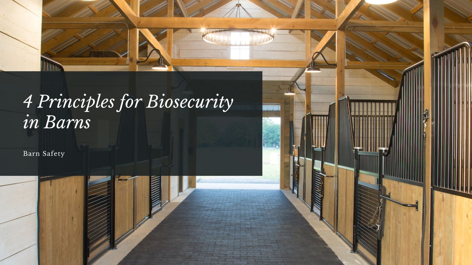 4 Principles for Biosecurity in Barns