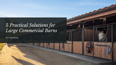 5 Practical Solutions for Large Commercial Barns