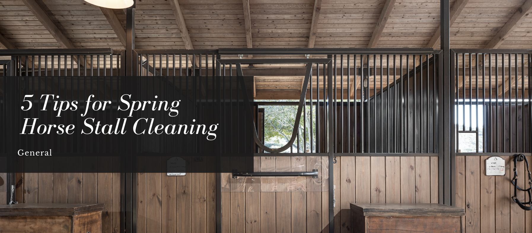 5 Inside Tips on Cleaning Horse Stalls for Spring.