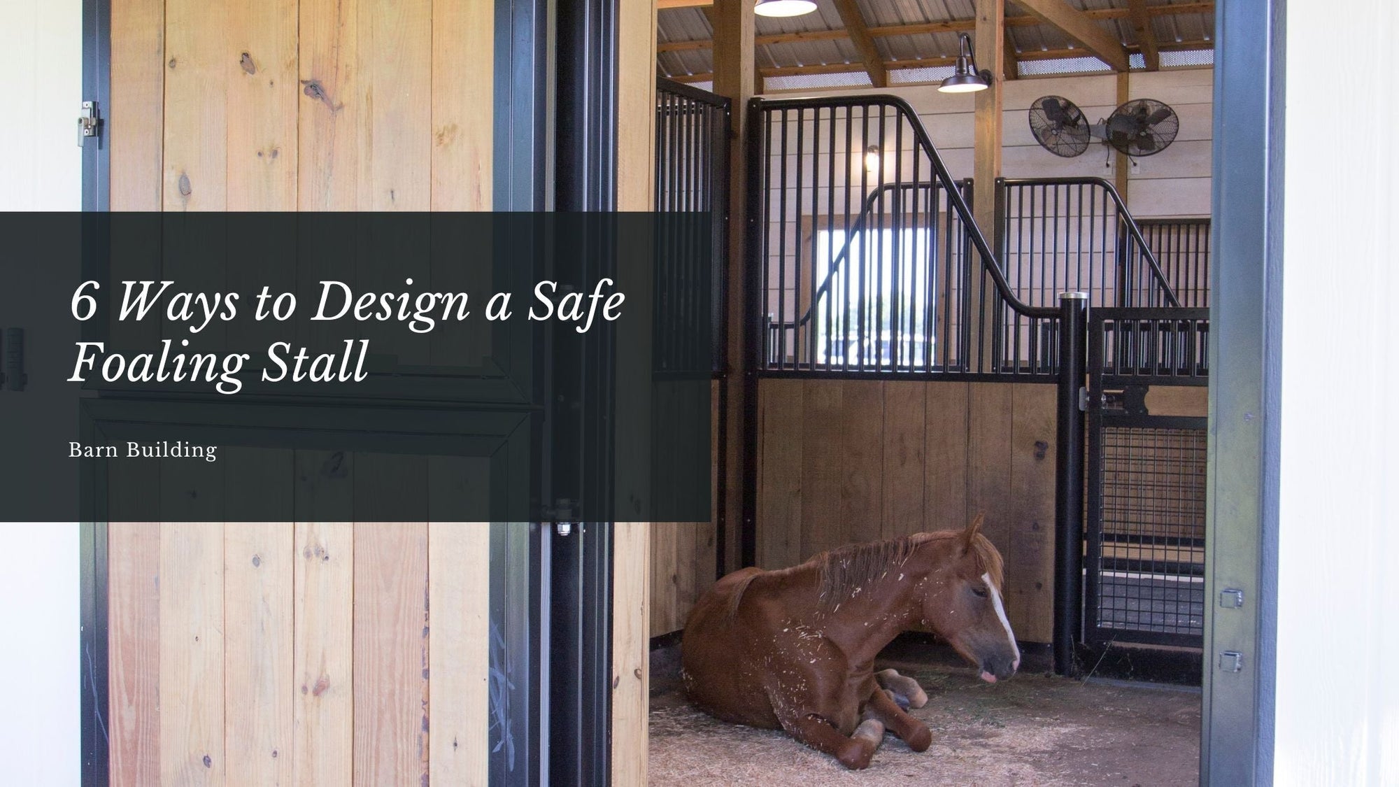 6 Ways to Design a Safe Foaling Stall