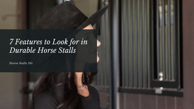 7 Features to Look for in Durable Horse Stalls