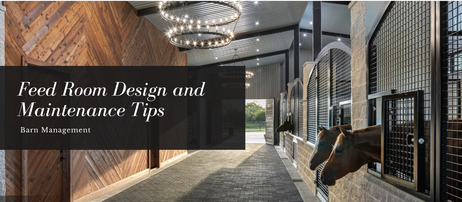 Feed Room Design and Maintenance Tips