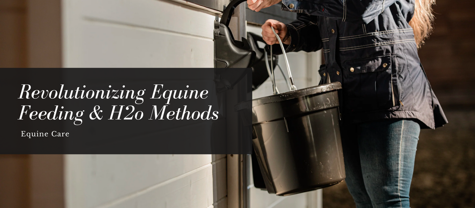 Revolutionizing Equine Feeding & H2o Methods