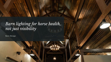 Barn Lighting for Horse Health