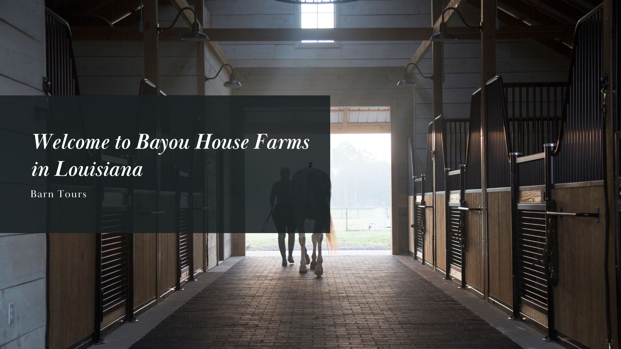 Welcome to Bayou House Farms in Louisiana