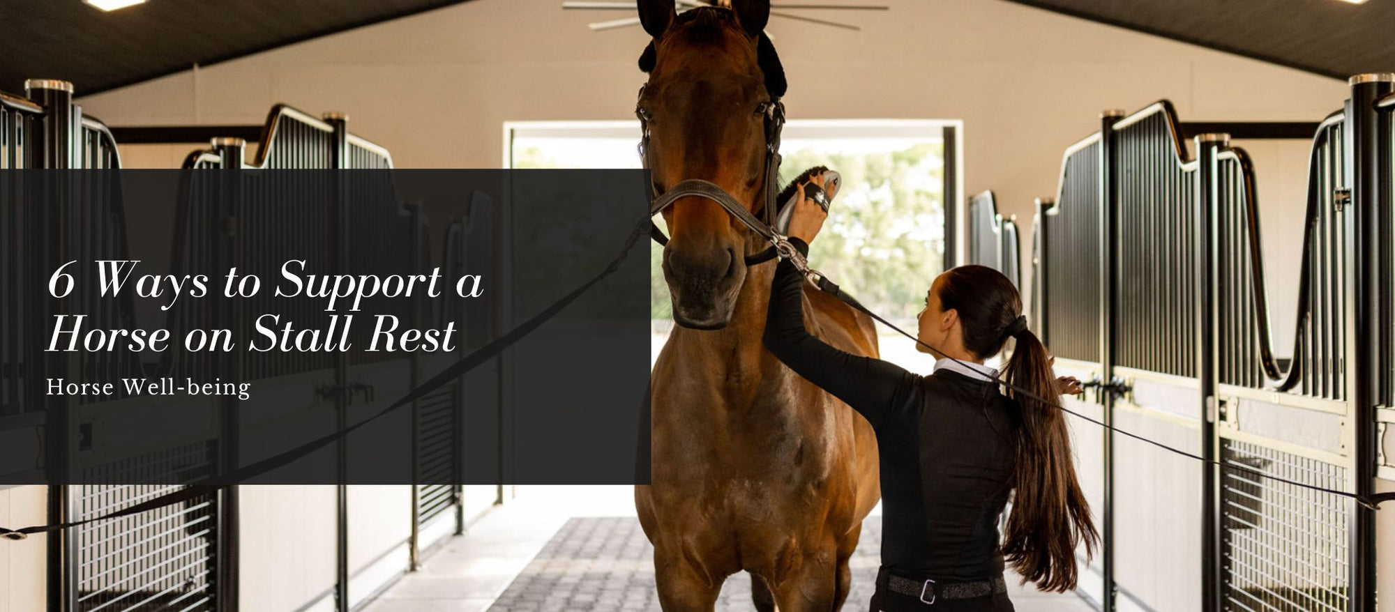 6 Ways to Support a Horse on Stall Rest