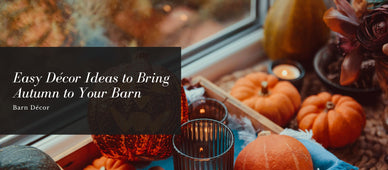 Easy Décor Ideas to Bring Autumn to Your Barn