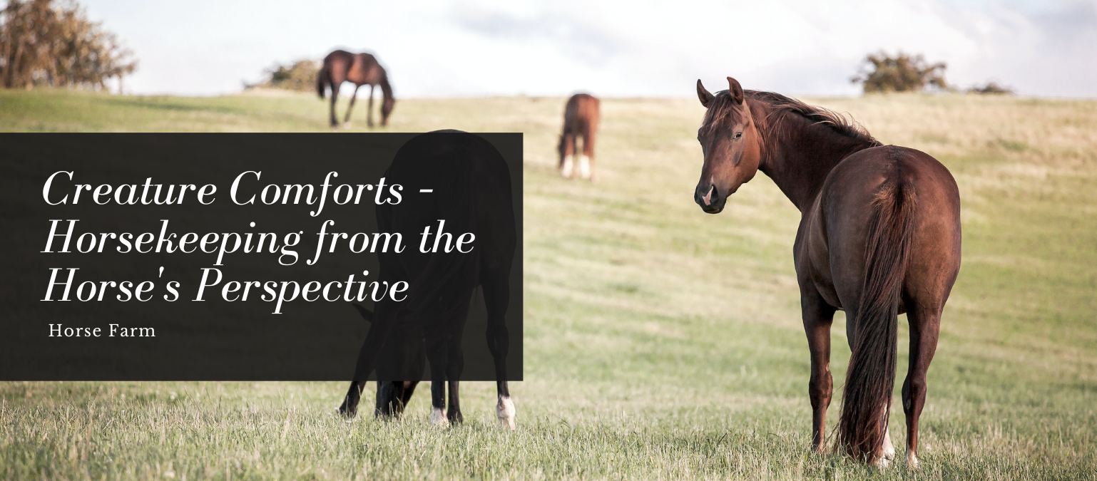 Creature Comforts – Horsekeeping from the Horse's Perspective