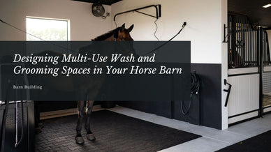 Designing Multi-Use Wash and Grooming Spaces in Your Horse Barn