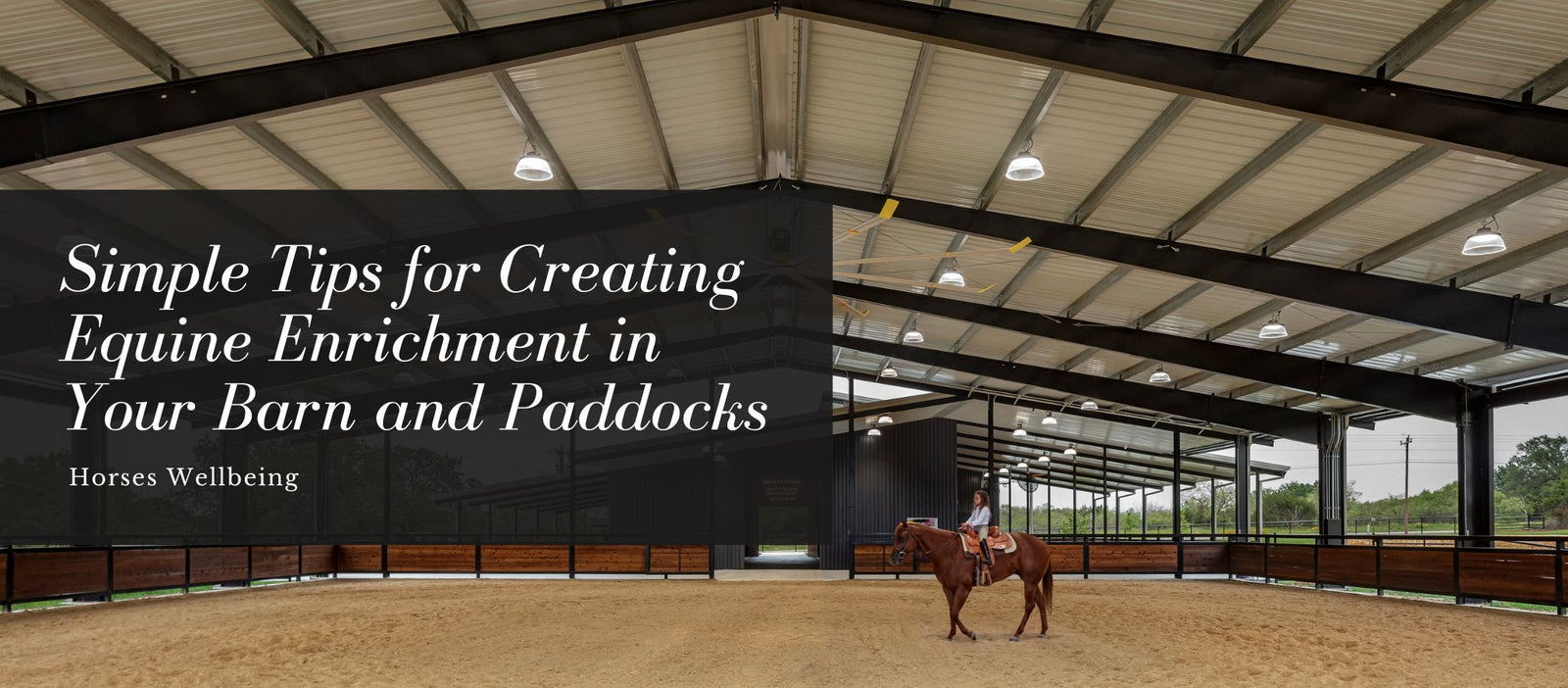 Simple Tips for Creating Equine Enrichment in Your Barn and Paddocks