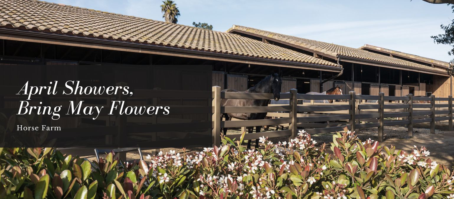 April Showers, Bring May Flowers