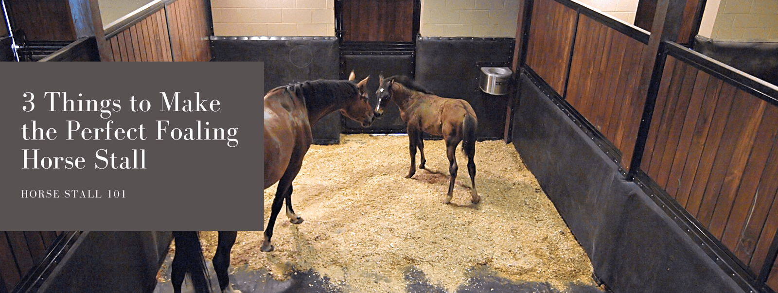 3 Considerations for the Perfect Foaling Horse Stall
