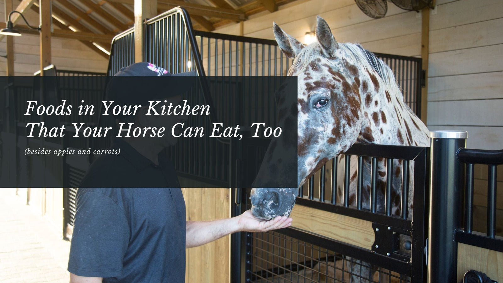 Foods in Your Kitchen That Your Horse Can Eat, Too