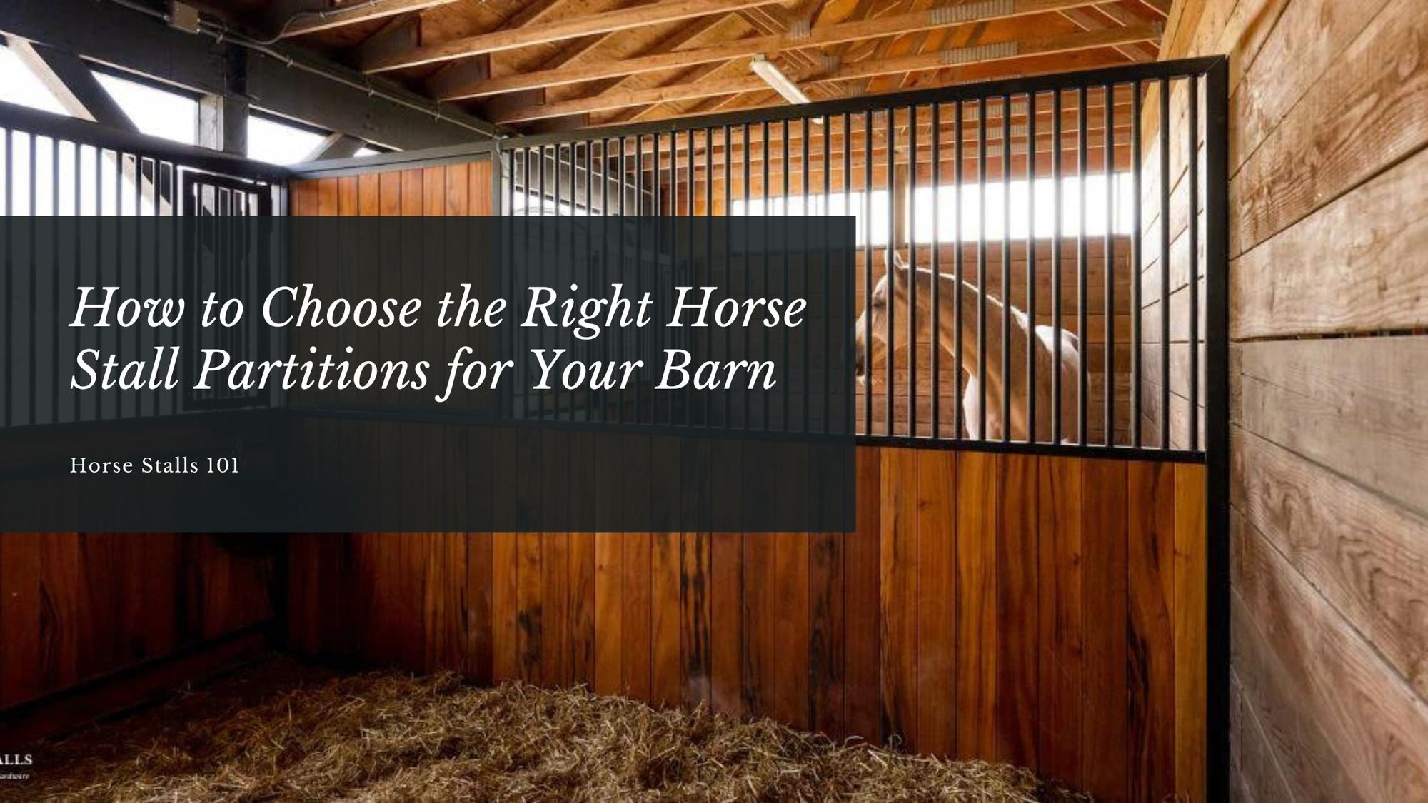 How to Choose the Right Horse Stall Partitions for Your Barn