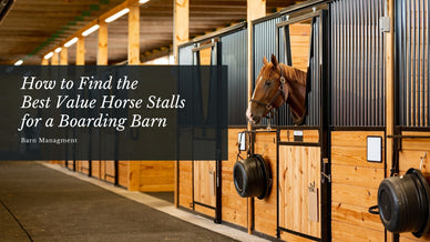 How to Find the Best Value Horse Stalls for a Boarding Barn