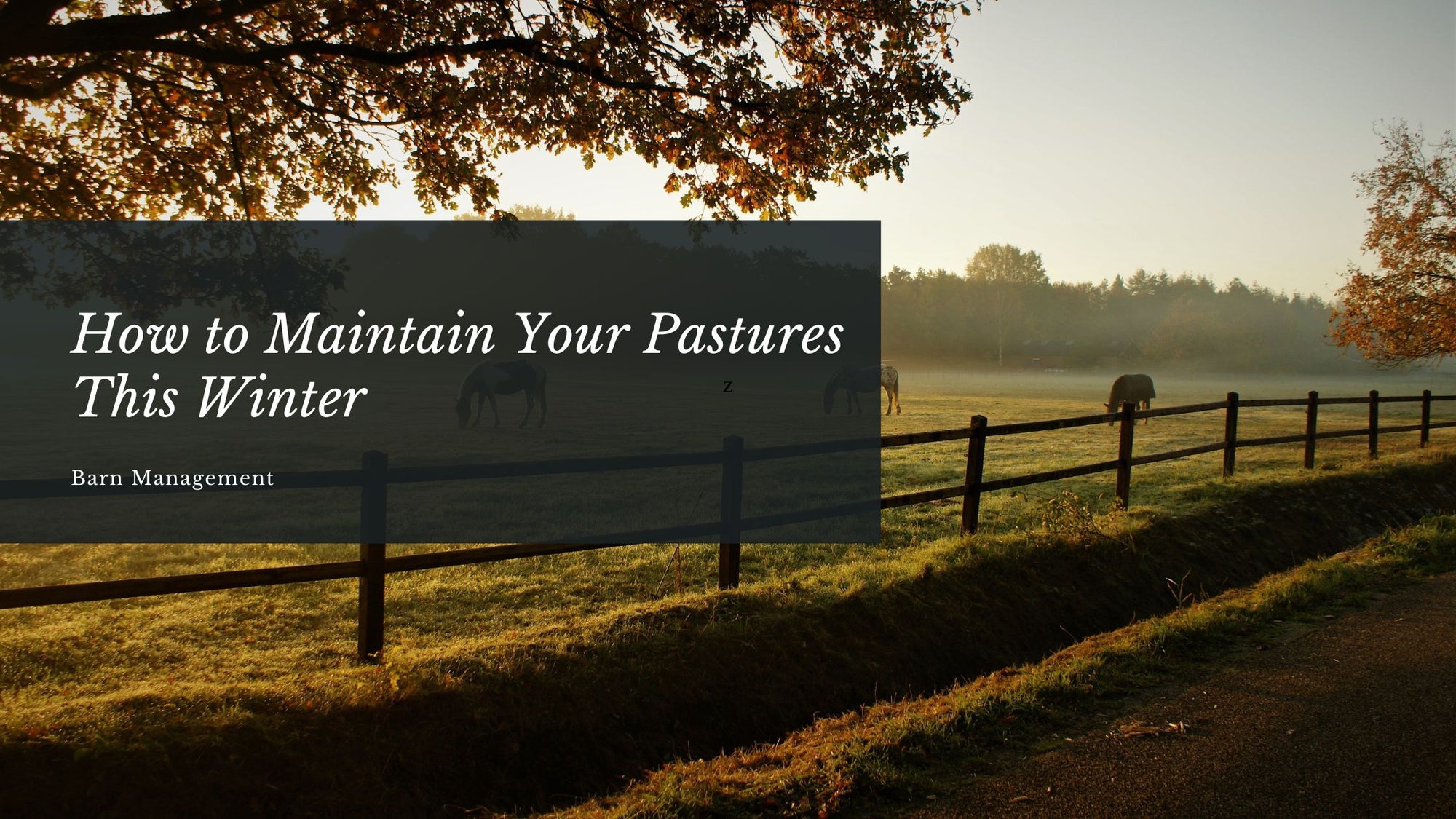 How to Maintain Your Pastures This Winter