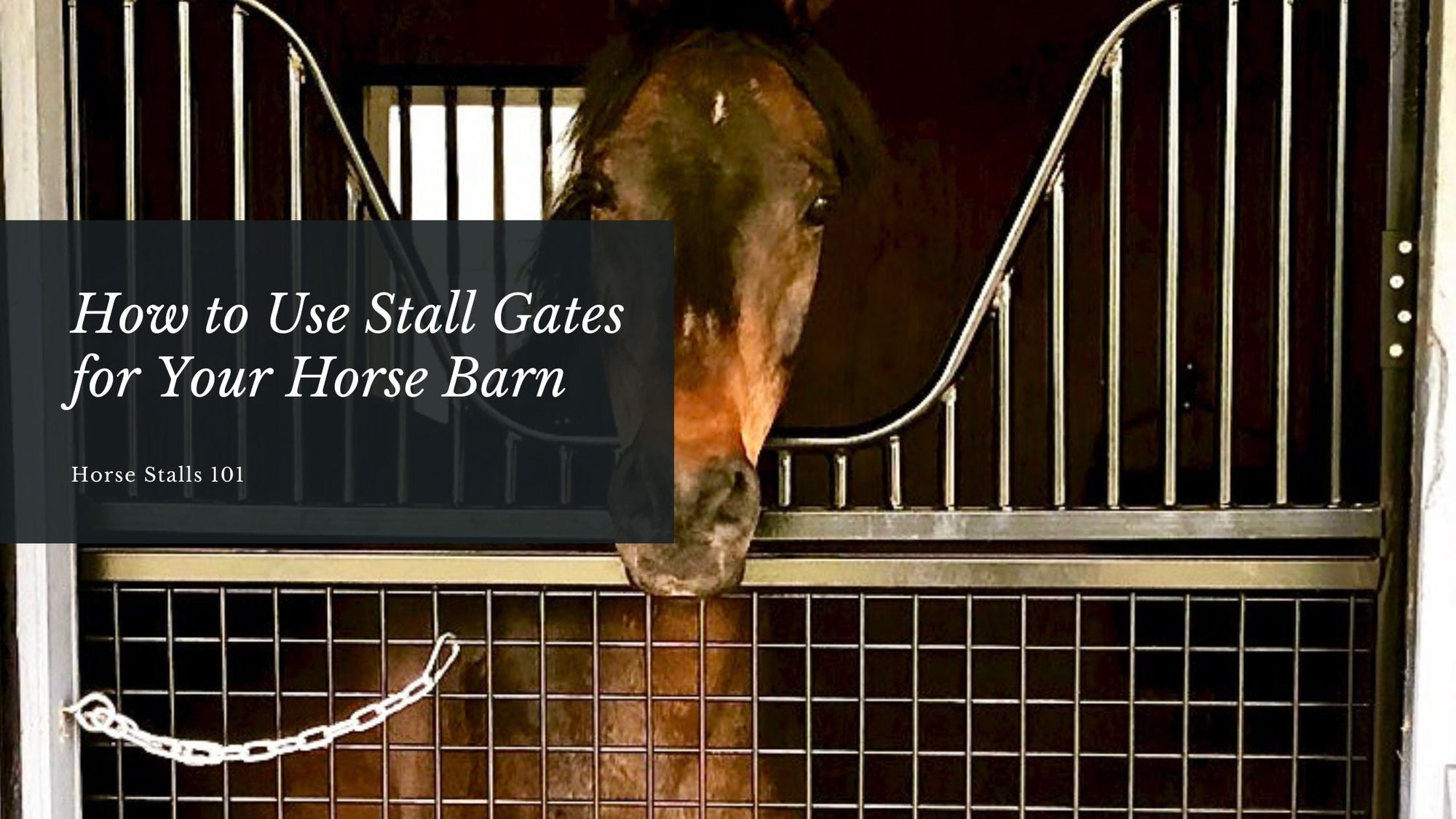 How to Use Stall Gates for Your Horse Barn