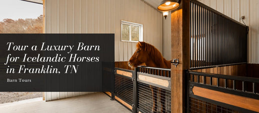 Tour a Custom Barn for Icelandic Horses in Franklin, Tennessee