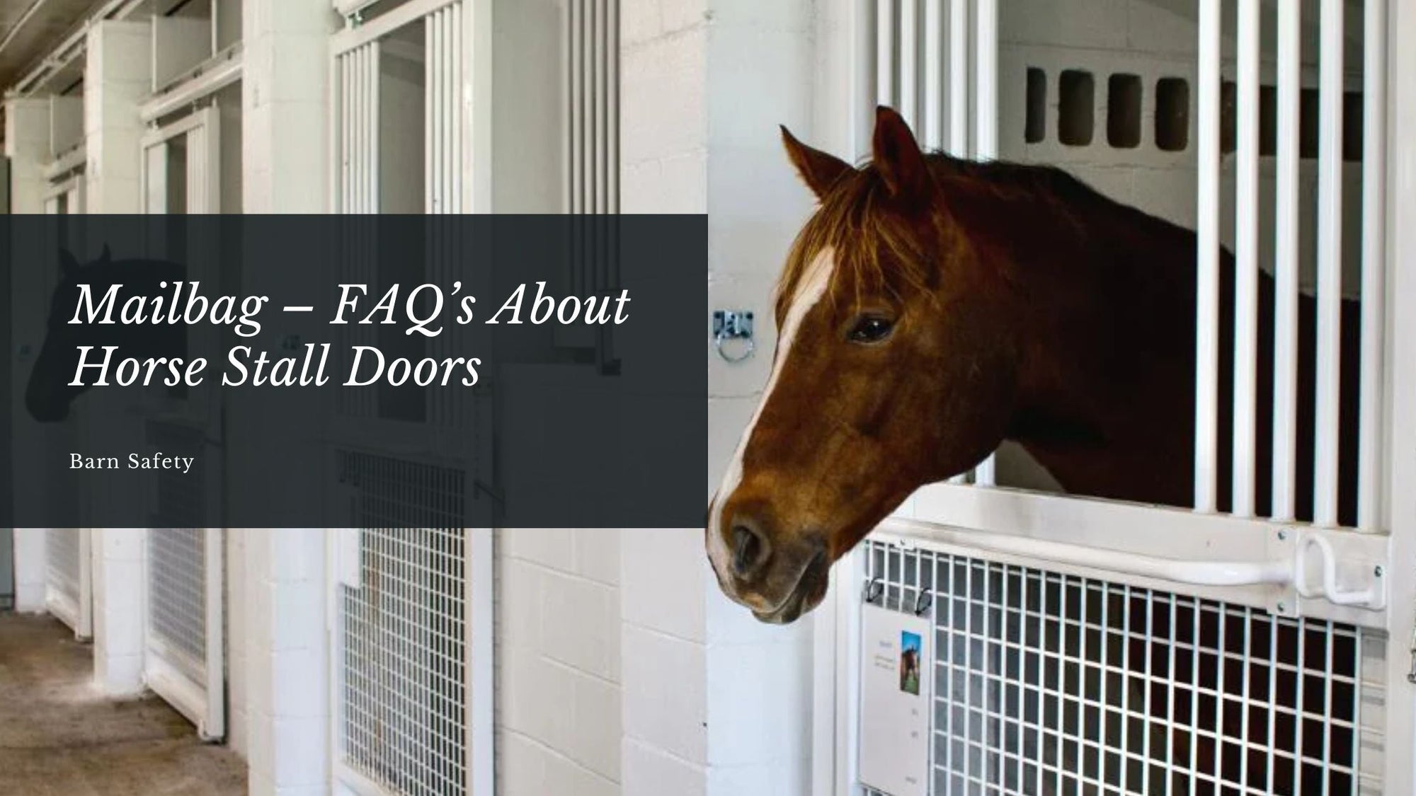 Mailbag – Frequently Asked Questions About Horse Stall Doors