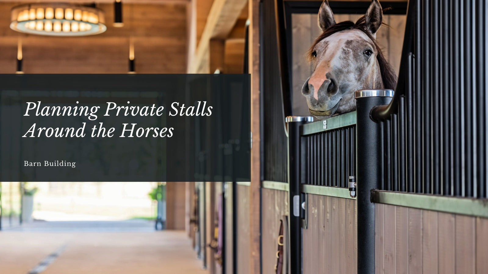 Planning Private Stalls Around the Horses