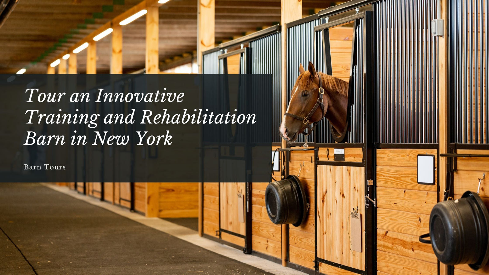 Tour an Innovative 28-Stall Barn for Rehabilitation and Training