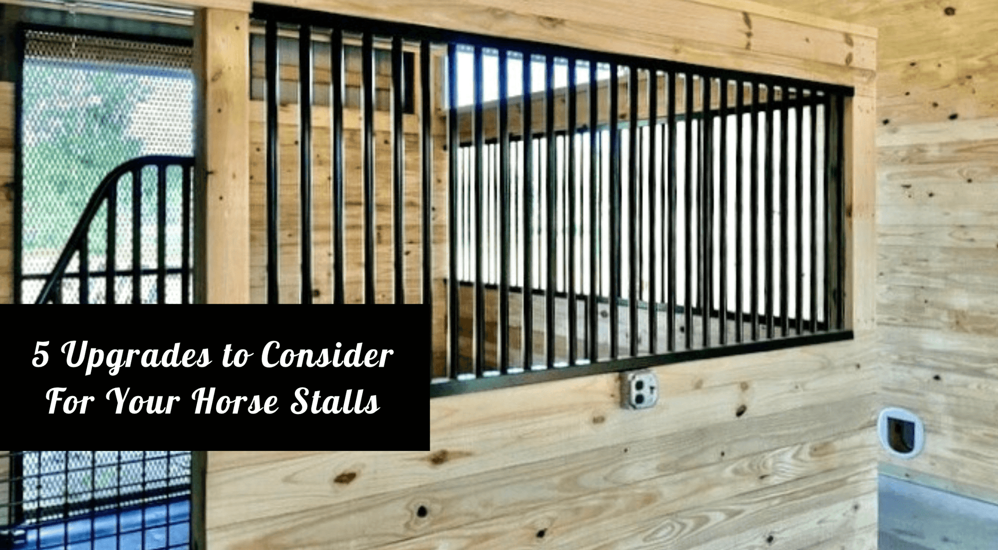 Horse Stalls Upgrades