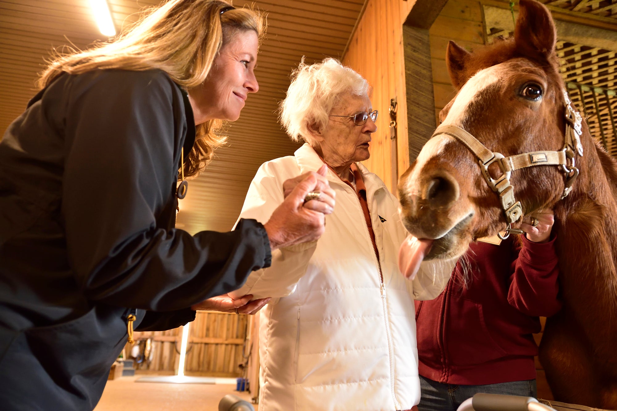 Small Business Spotlight: Rose of Sharon Equestrian School