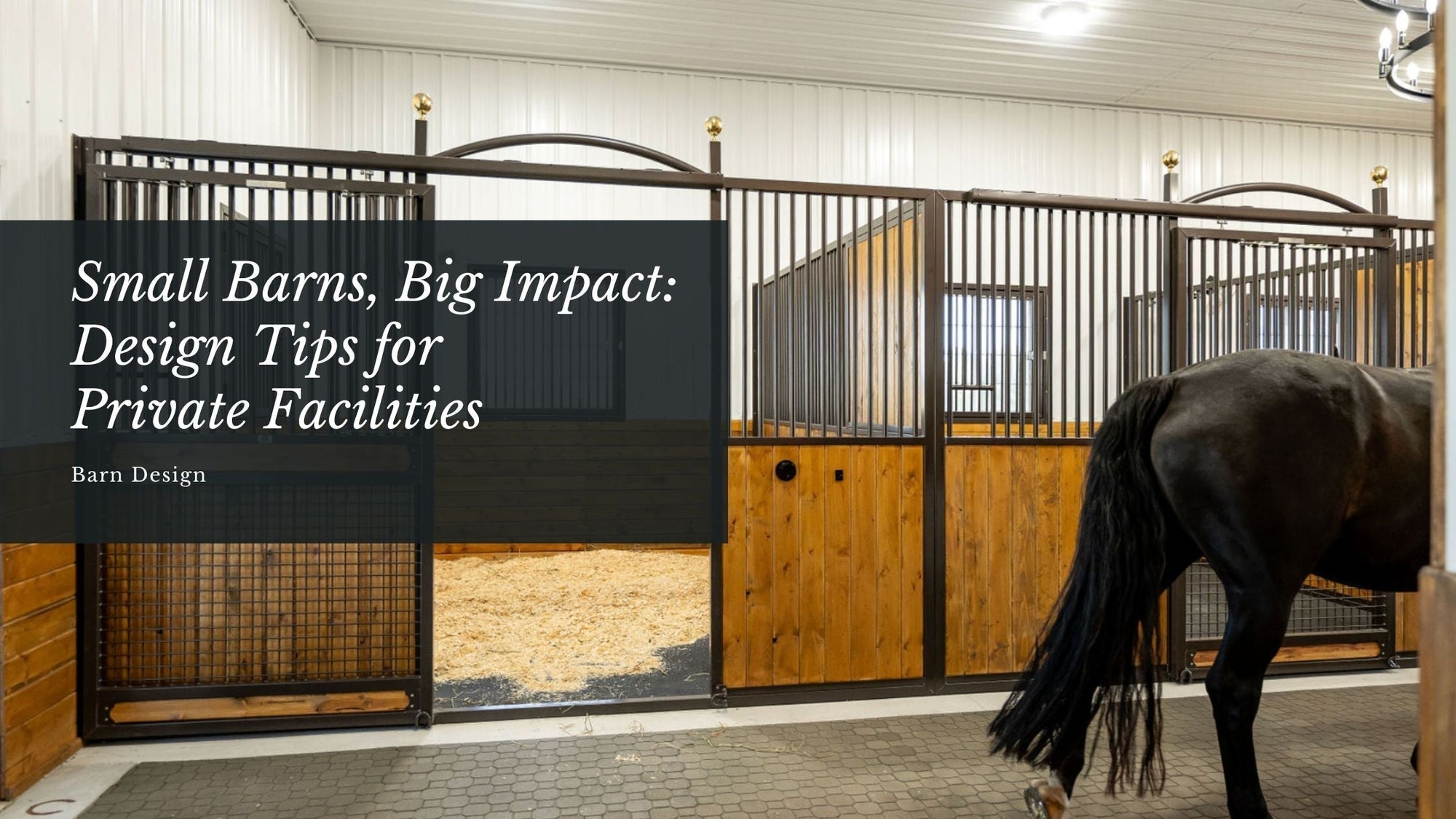 Small Barns, Big Impact: Design Tips for Private Facilities