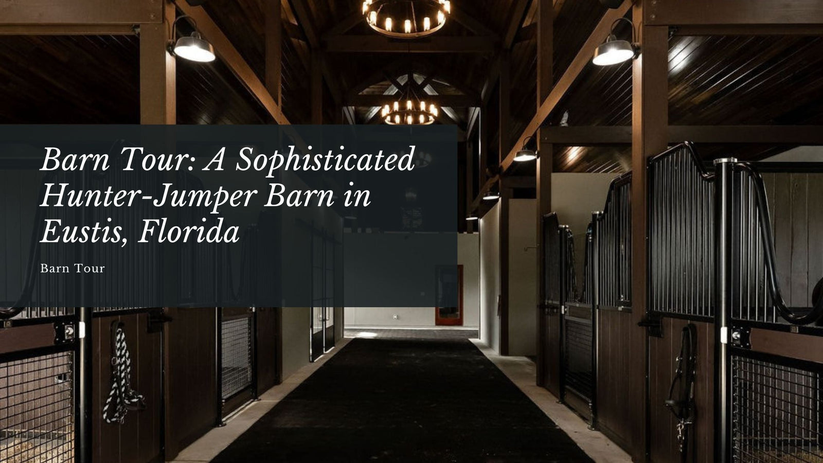 Barn Tour: A Sophisticated Hunter-Jumper Barn in Eustis, Florida