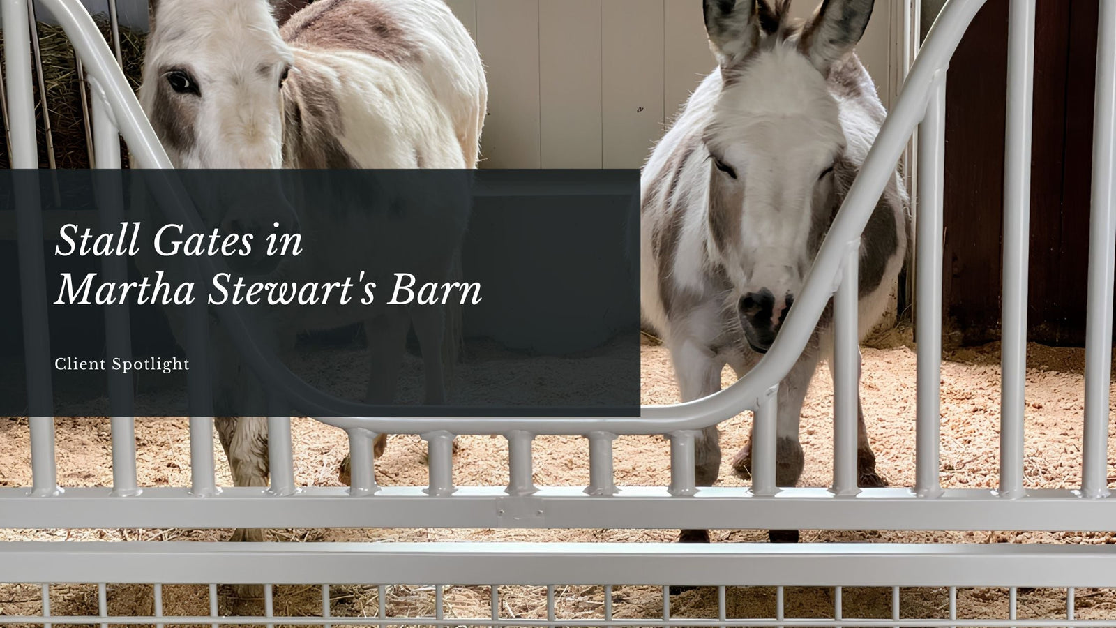 Stall Gates in Martha Stewart's Barn
