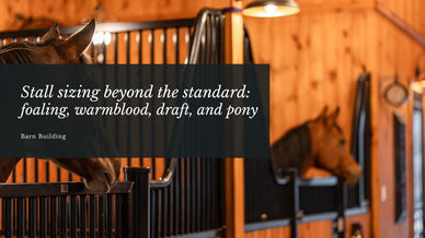 Stall sizing beyond the standard: foaling, warmblood, draft, and pony
