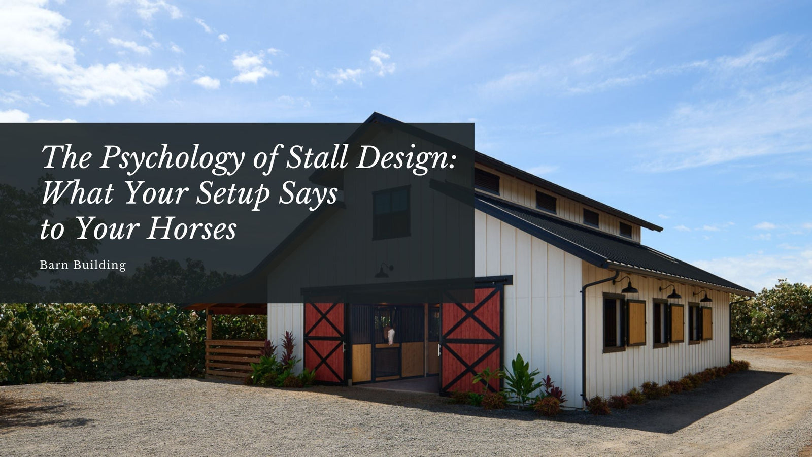 The Psychology of Stall Design