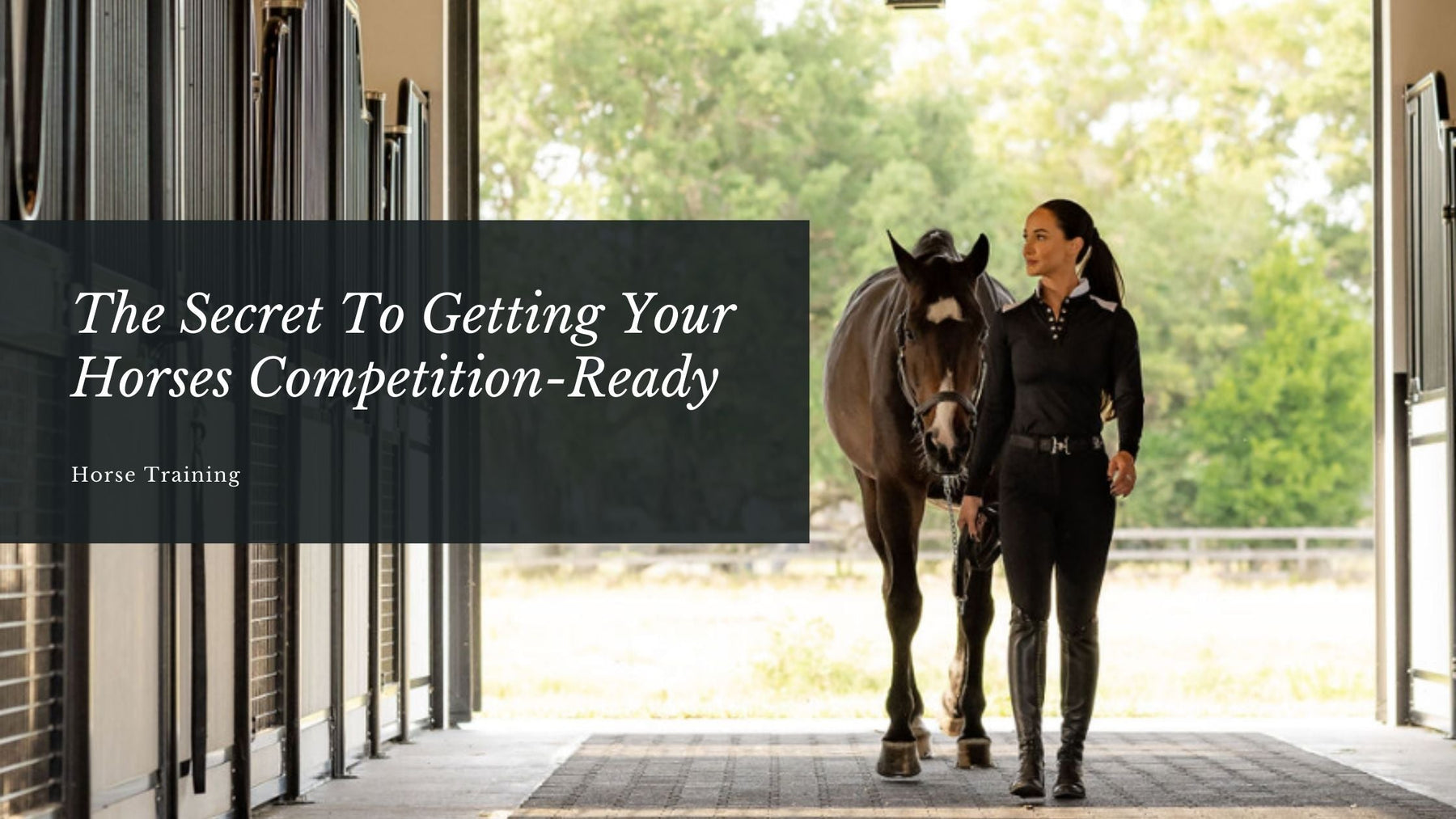Stable to Stardom- Preparing Your Horse for Competitions - American Stalls