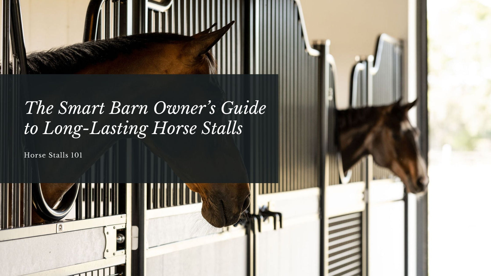 The Smart Barn Owner’s Guide to Long-Lasting Horse Stalls