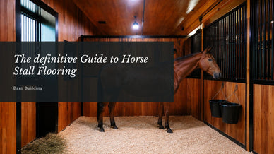 The definitive Guide to Horse Stall Flooring