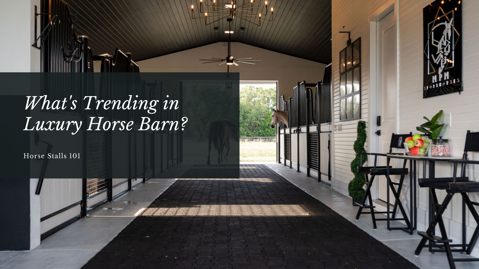 What's Trending in Luxury Horse Barn?