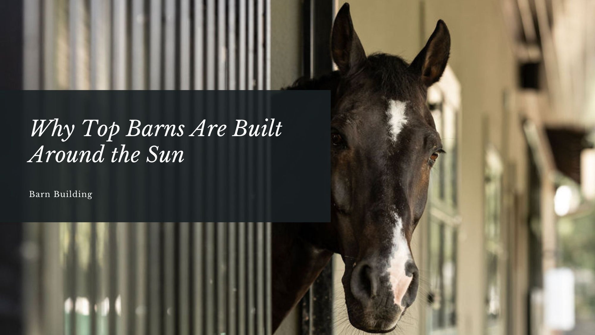 Why Top Barns Are Built Around the Sun