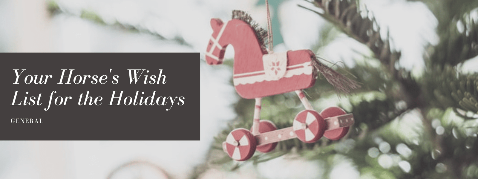 Your Horse's Wish List for the Holidays
