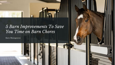 5 Barn Improvements To Save You Time on Barn Chores