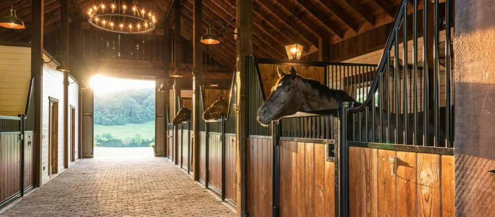 The Complete Guide to Luxury Horse Stall Design