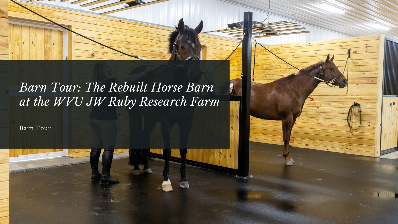 Barn Tour: The Rebuilt Horse Barn at the WVU JW Ruby Research Farm